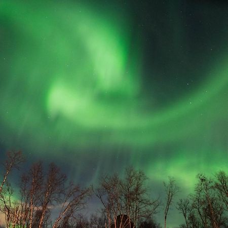 Ofelas Islandshaestar & Guideservice Kiruna Zewnętrze zdjęcie