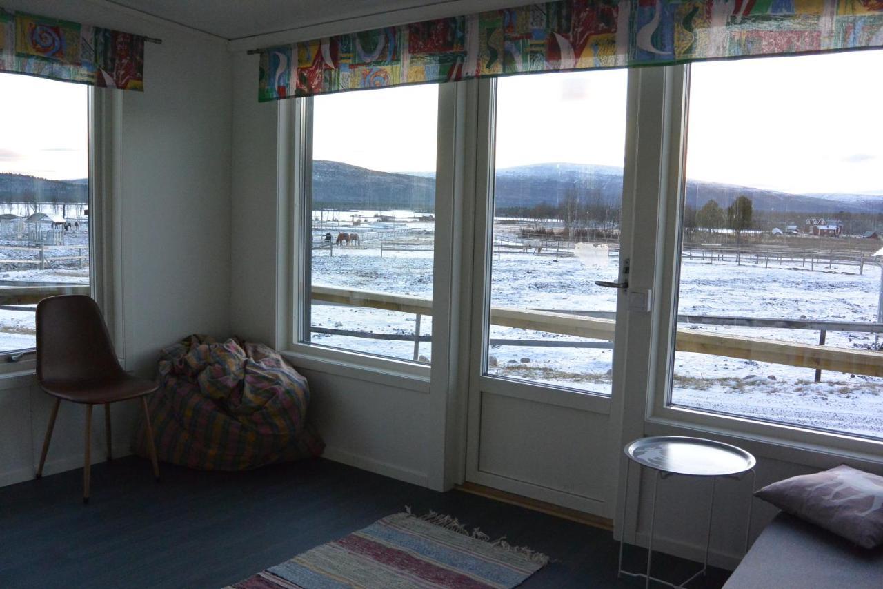 Ofelas Islandshaestar & Guideservice Kiruna Zewnętrze zdjęcie