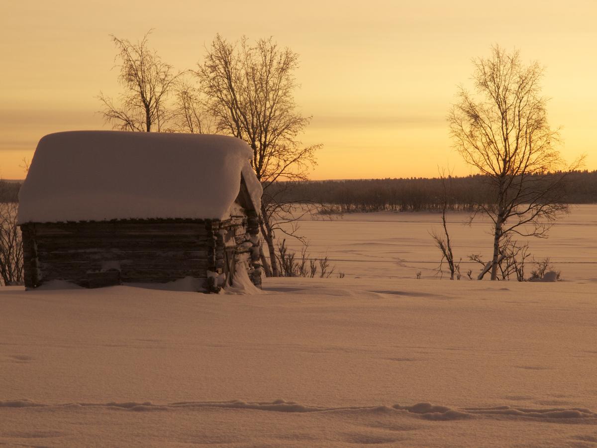 Ofelas Islandshaestar & Guideservice Kiruna Zewnętrze zdjęcie