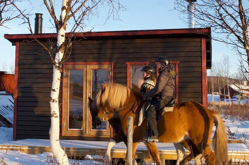 Ofelas Islandshaestar & Guideservice Kiruna Zewnętrze zdjęcie